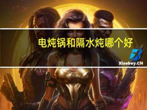 电炖锅和隔水炖哪个好