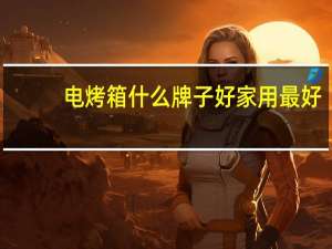 电烤箱什么牌子好家用最好