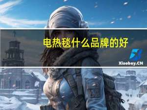 电热毯什么品牌的好