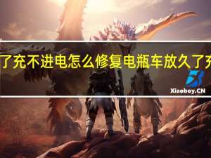 电瓶车放久了充不进电怎么修复 电瓶车放久了充不进电怎么回事