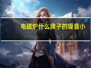 电磁炉什么牌子的噪音小