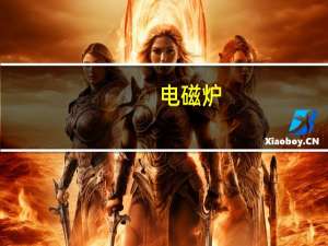 电磁炉，上面适合什么材质的锅