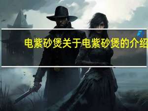 电紫砂煲 关于电紫砂煲的介绍