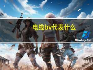电线bv代表什么