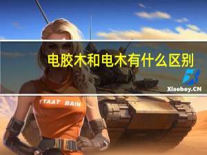电胶木和电木有什么区别