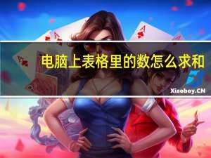 电脑上表格里的数怎么求和