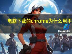 电脑下载的chrome为什么用不了