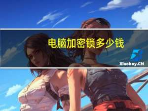 电脑加密锁多少钱（电脑加密锁）