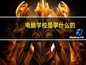 电脑学校是学什么的