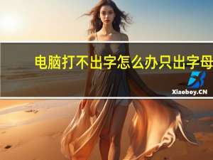 电脑打不出字怎么办只出字母（电脑打不出字怎么办）