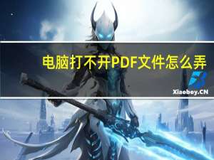 电脑打不开PDF文件怎么弄（电脑不能打开pdf文件怎么办）