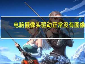 电脑摄像头驱动正常没有图像（电脑摄像头驱动）