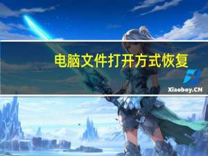 电脑文件打开方式恢复（如何恢复文件的默认打开方式）