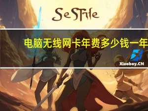 电脑无线网卡年费多少钱一年（电脑无线上网卡资费）