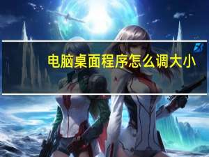 电脑桌面程序怎么调大小