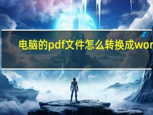 电脑的pdf文件怎么转换成word（pdf文件怎么转换成word）