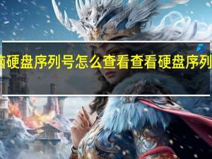 电脑硬盘序列号怎么查看 查看硬盘序列号的方法（电脑硬盘序列号怎么查询）