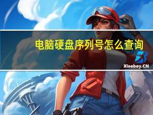 电脑硬盘序列号怎么查询（电脑序列号怎么查询）