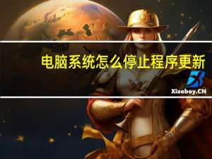电脑系统怎么停止程序更新