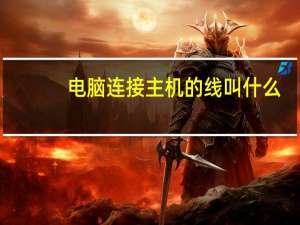 电脑连接主机的线叫什么