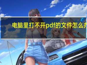 电脑里打不开pdf的文件怎么办（电脑打不开pdf文件怎么办）