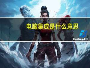 电脑集成是什么意思