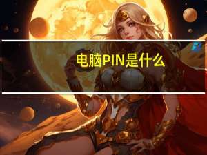 电脑PIN是什么
