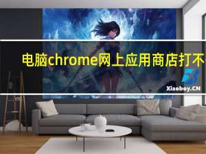 电脑chrome网上应用商店打不开