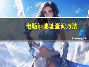 电脑ip地址查询方法（电脑ip地址查询）