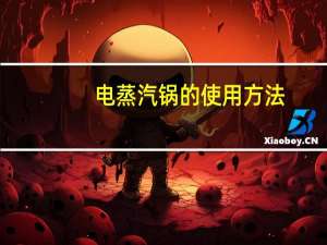 电蒸汽锅的使用方法