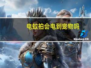 电蚊拍会电到宠物吗