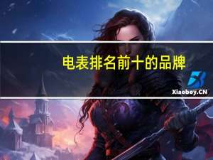电表排名前十的品牌