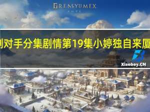 电视剧对手分集剧情 第19集小婷独自来厦州剧情介绍