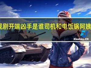 电视剧开端凶手是谁 司机和电饭锅阿姨什么关系