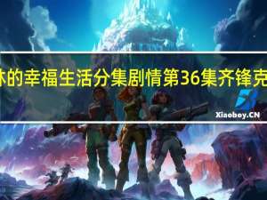 电视剧民警老林的幸福生活分集剧情 第36集齐锋克服内心恐惧剧情介绍