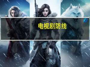 电视剧防线（关于电视剧防线的介绍）