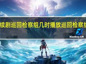 电视连续剧巡回检察组几时播放 巡回检察组在哪个台播