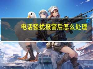 电话骚扰报警后怎么处理（电话骚扰报警有用吗）