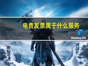 电费发票属于什么服务