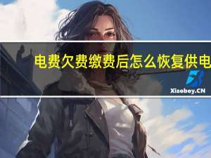 电费欠费缴费后怎么恢复供电
