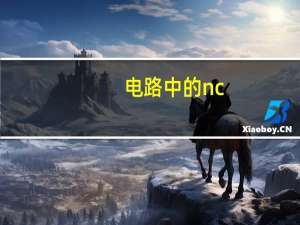 电路中的nc