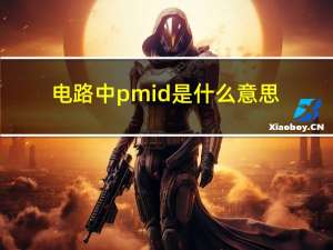 电路中pmid是什么意思（pmid是什么意思）