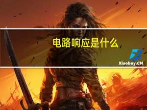 电路响应是什么