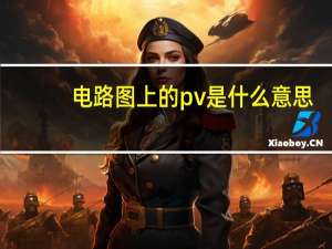 电路图上的pv是什么意思