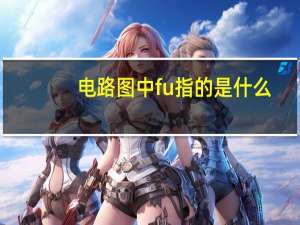 电路图中fu指的是什么