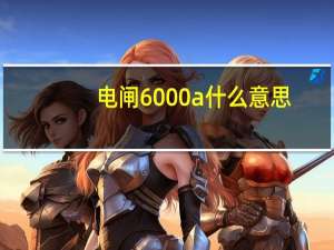 电闸6000a什么意思