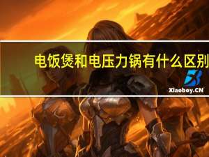 电饭煲和电压力锅有什么区别
