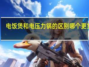电饭煲和电压力锅的区别哪个更实用