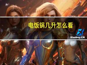 电饭锅几升怎么看