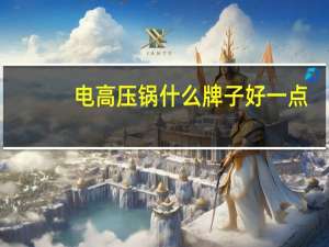 电高压锅什么牌子好一点（电高压锅什么牌子好）